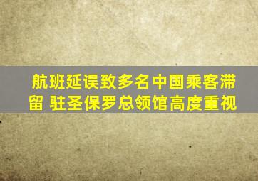 航班延误致多名中国乘客滞留 驻圣保罗总领馆高度重视